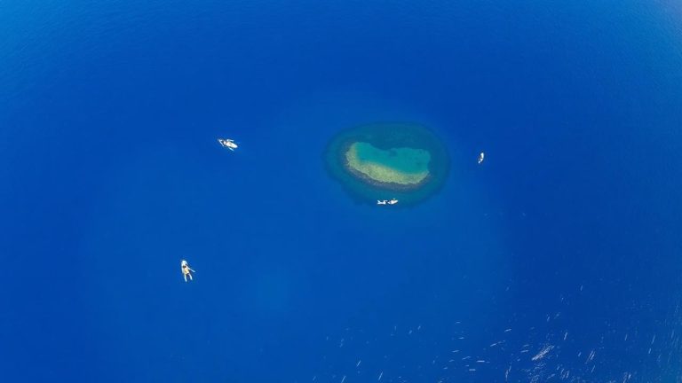 Best Snorkeling on Maui: Molokini, Sea Turtles & Hidden Reefs