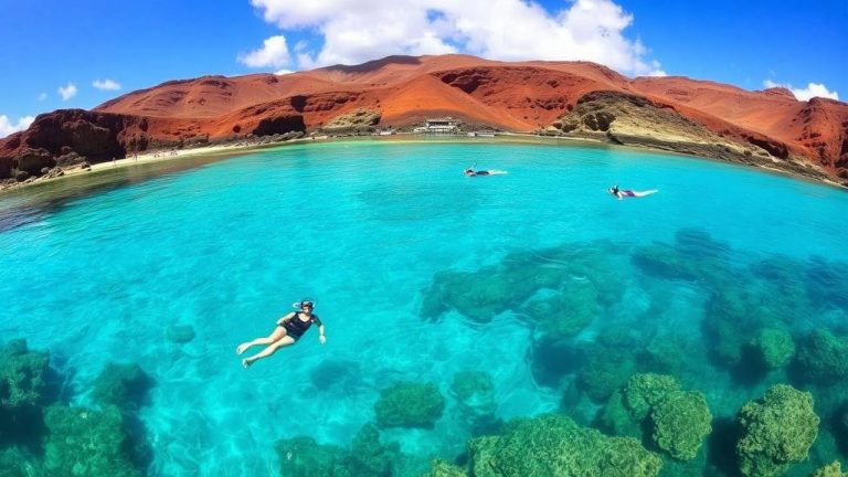 Best Snorkeling on Oahu: 10 Spots from Beginner to Advanced